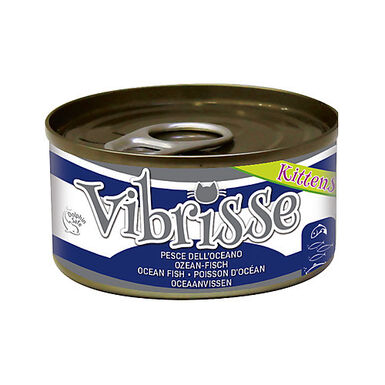Vibrisse - Pâtée KITTEN POISSON D'Océan pour Chatons - 70g
