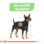 Royal Canin - Croquettes Mini Digestive Care pour Chien - 3Kg Indicateur image numéro 4