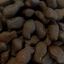 Neo Lupus - Friandises Sans Céréales avec 80% de Poisson pour Chiens - 500g Indicateur image numéro 2