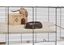 Ferplast - Cage Karat 100 pour Petits Rongeurs - 50x98x61cm Indicateur image numéro 2