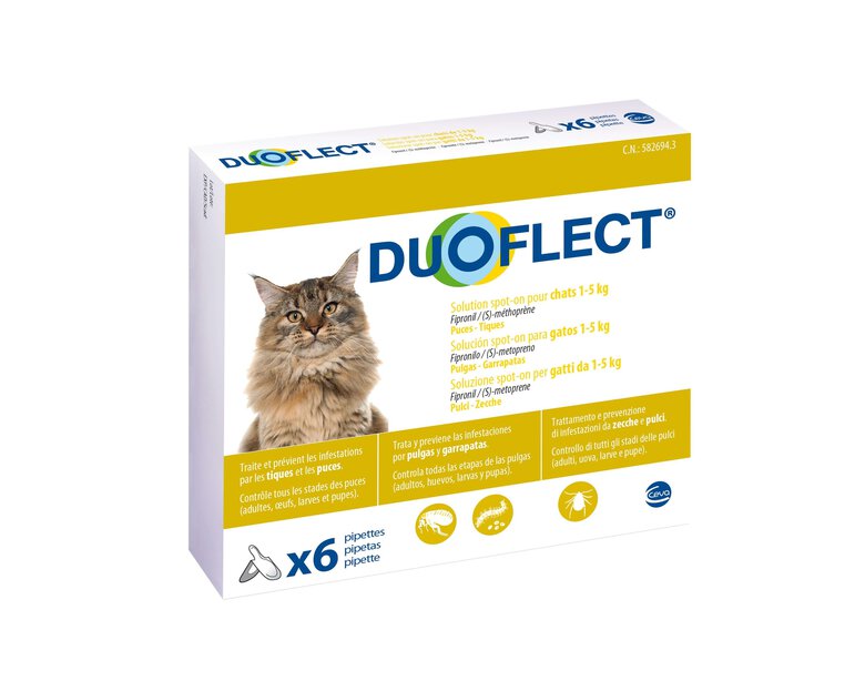 Duoflect - Pipettes Antiparasitaire de 1 à 5Kg pour Chat - x6 Image numéro 1 Duoflect - Pipettes Antiparasitaire de 1 à 5Kg pour Chat - x6 Image numéro 1