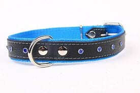Yogipet - Collier Cuir Nylon Crystal pour Chien Bleu