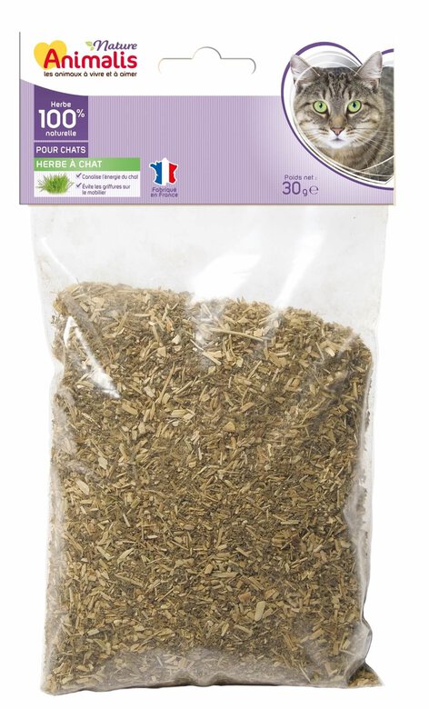 Animalis - Herbe à Chat Catnip 100% Naturelle pour Chat - 30g Image numéro 1 Animalis - Herbe à Chat Catnip 100% Naturelle pour Chat - 30g Image numéro 1