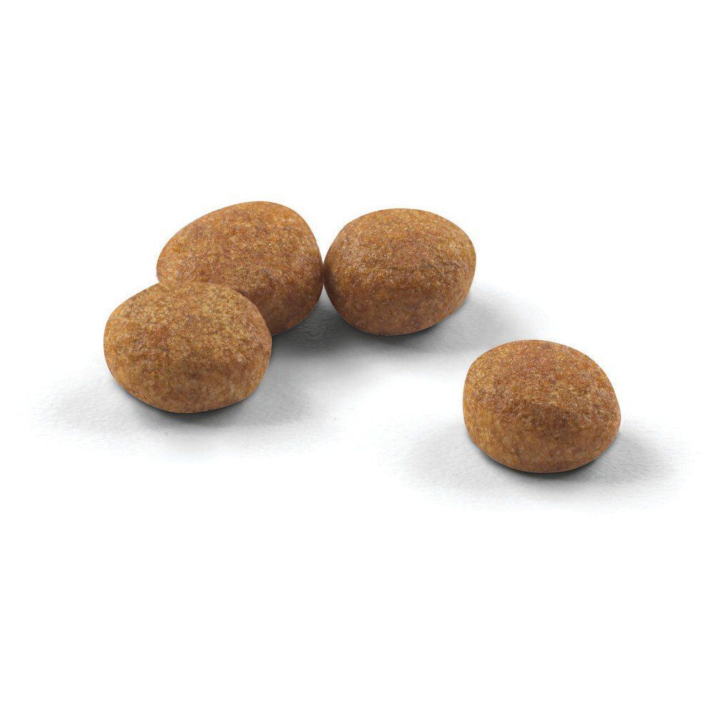 Royal Canin - Croquettes Sterilised 37 pour Chat - 10Kg + 2Kg Gratuits Image num&eacute;ro 7