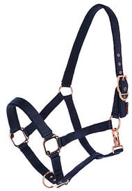 Covalliero - Licol Réglable Classy Navy Shetland