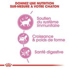 Royal Canin - Croquettes Kitten Sterilised pour Chaton - 2Kg image number null