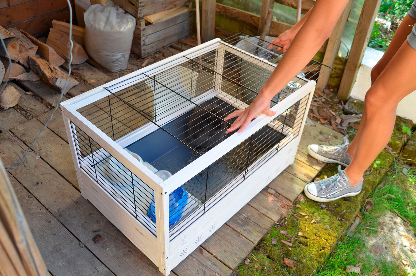 Ferplast - Cage Arena 80 pour Rongeurs Image num&eacute;ro 7