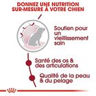 Royal Canin - Croquettes Medium Ageing 10+ pour Chien Senior - 15Kg image number null
