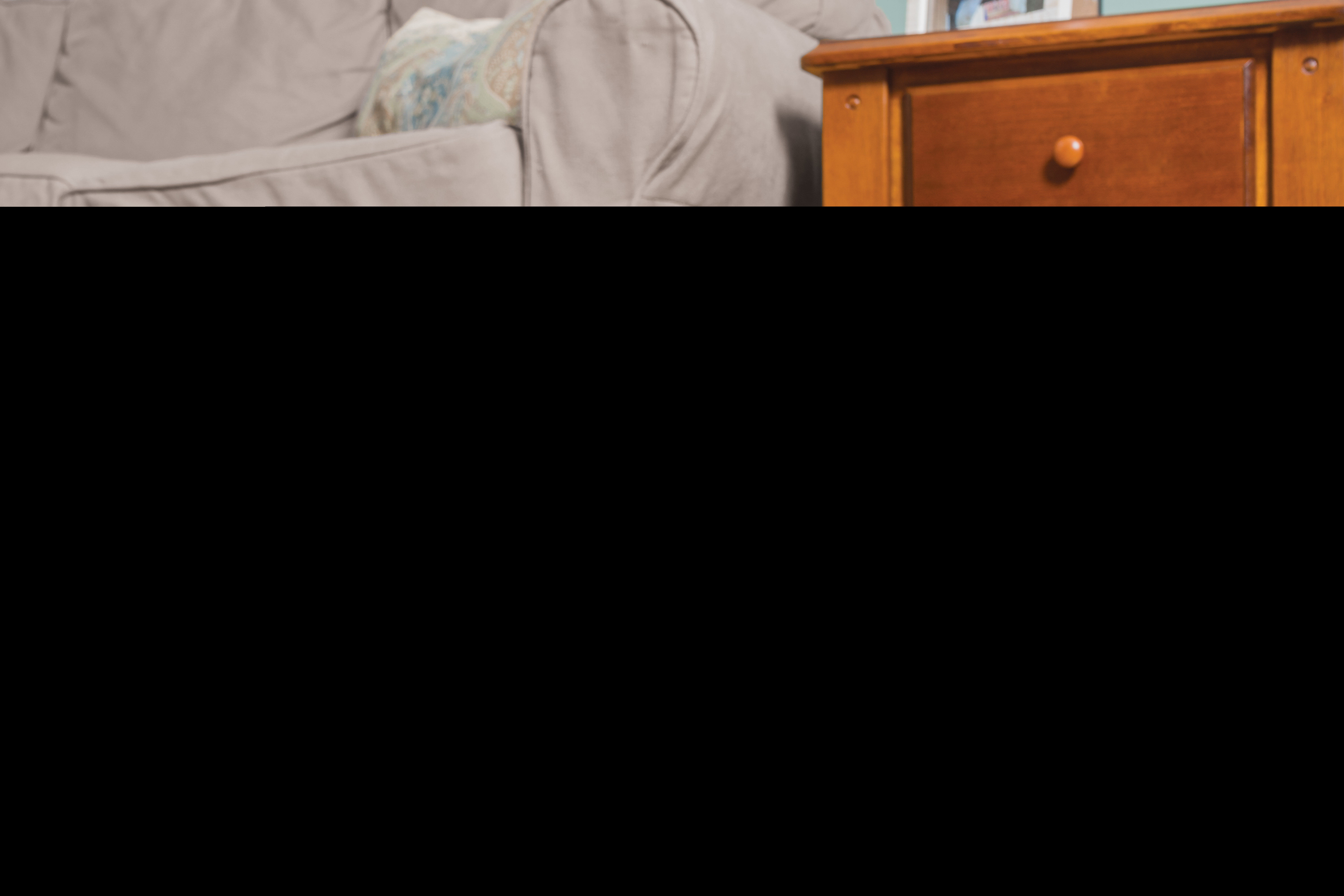 PetSafe - Jouet Terrier du Renard Foxden pour Chat - 19cm Image num&eacute;ro 3