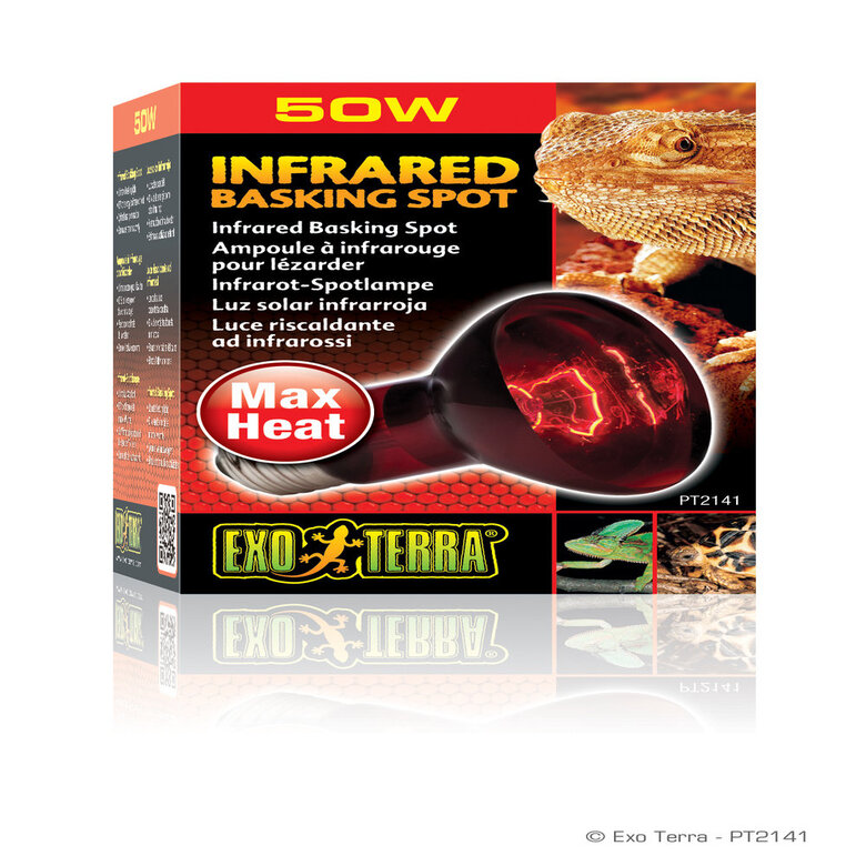 Exo Terra - Lampe Infrarouge Basking Spot - 50W Image numéro 1 Exo Terra - Lampe Infrarouge Basking Spot - 50W Image numéro 1