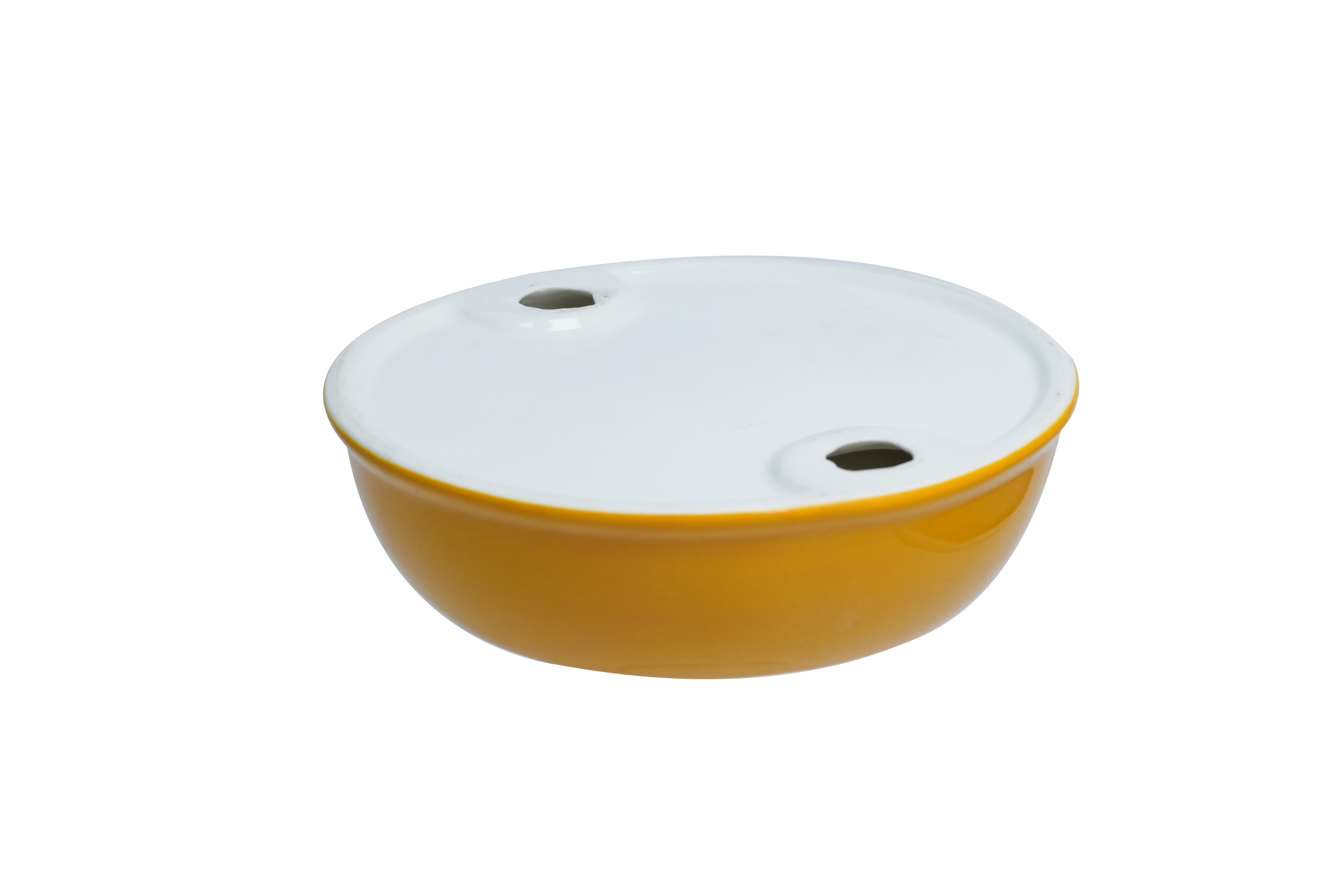 Leeby - Gamelle Design Citron en C&eacute;ramique pour Chats - 150ml Image num&eacute;ro 4