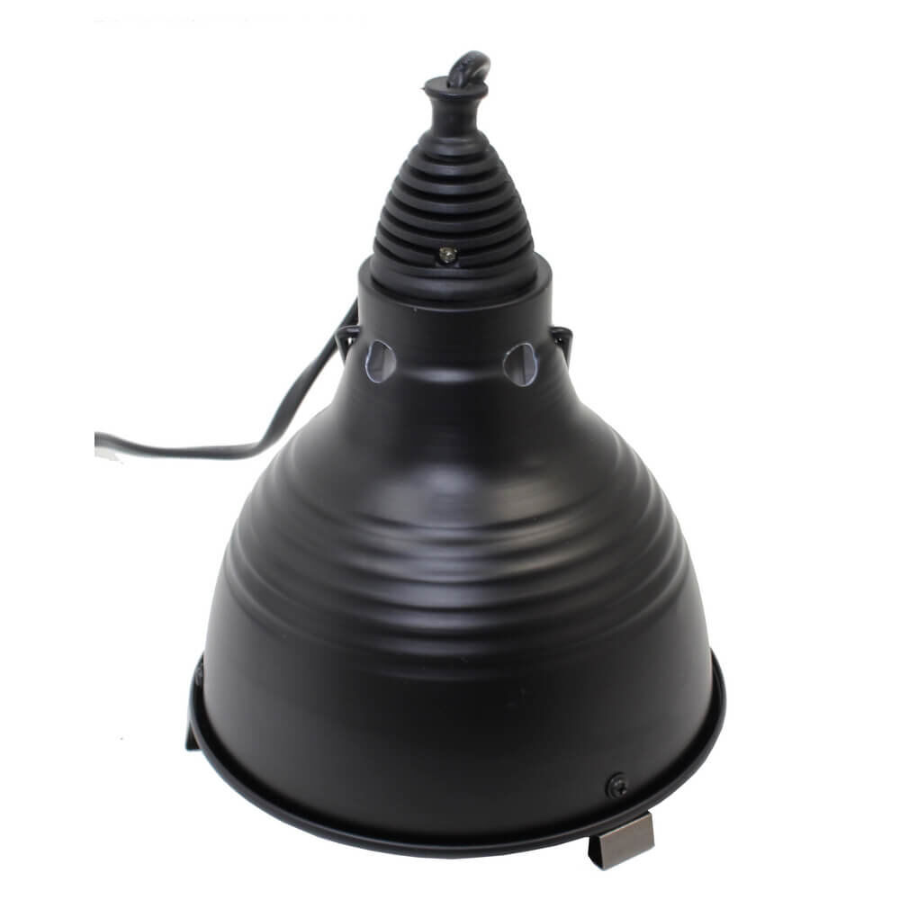 Animalis - Kit Gecko - 50cm Image num&eacute;ro 8