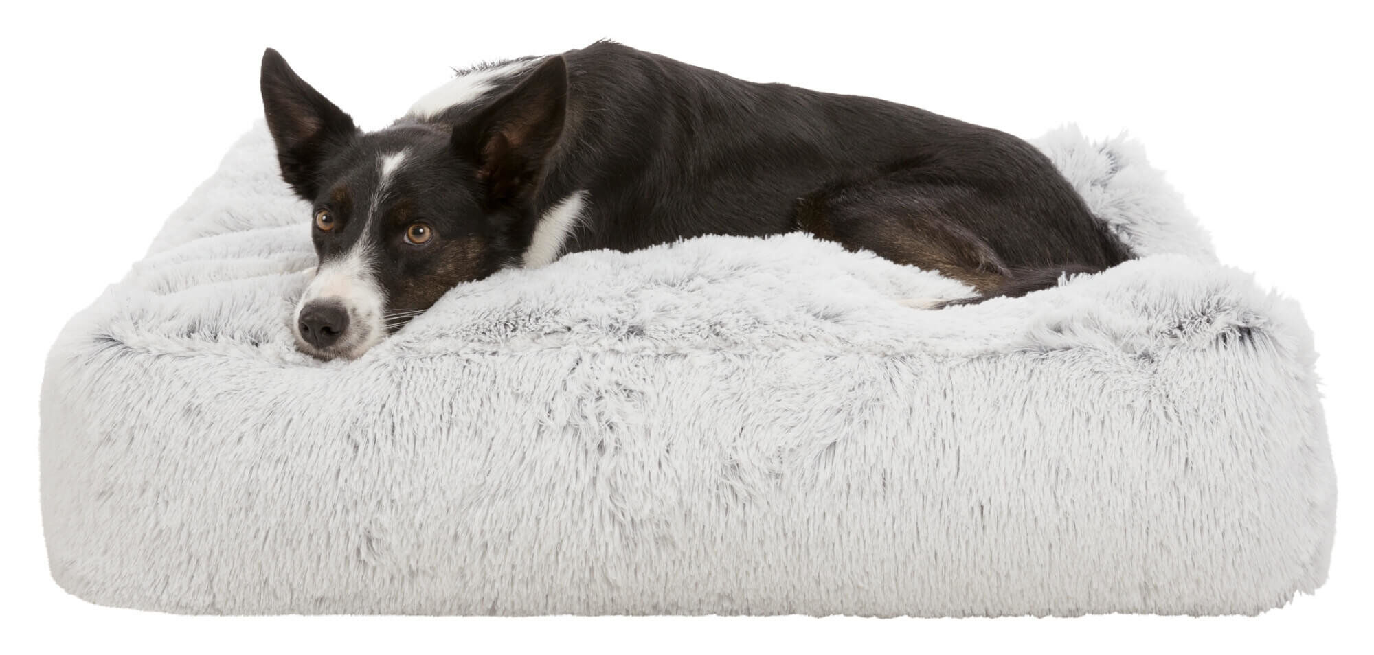 Trixie - Coussin Harvey Blanc pour Chien - T80 Image num&eacute;ro 2