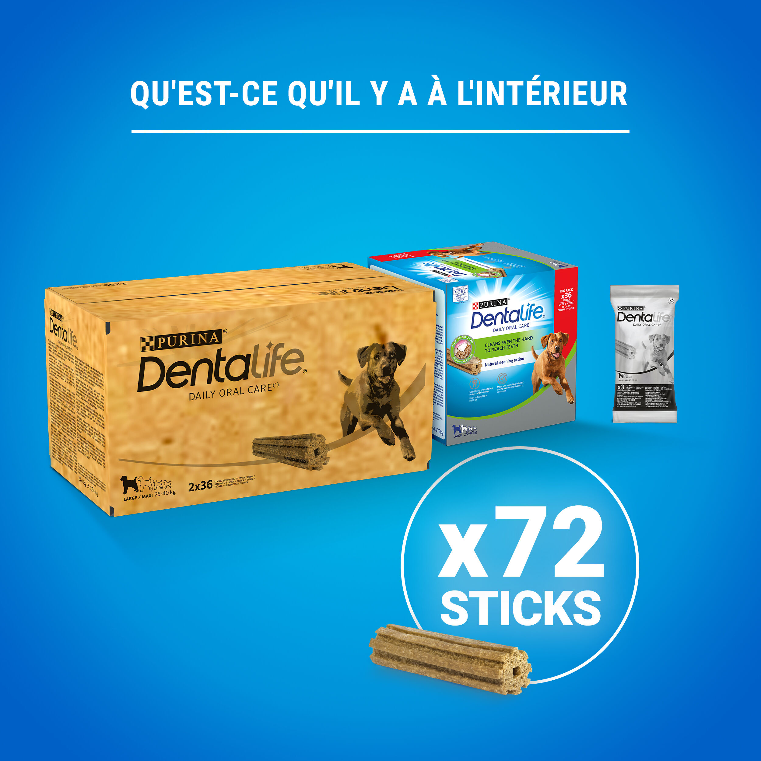 Dentalife - Multipack B&acirc;tonnets &agrave; M&acirc;cher Hygi&egrave;ne Bucco-dentaire pour Chiens - Maxi/x 72 Image num&eacute;ro 2