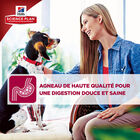 Hill's Science Plan - Croquettes à l'Agneau et Riz pour Chien de Grande Race - 12Kg image number null