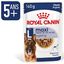 ROYAL CANIN - SACHET FRAICHEUR MAXI AGEING en sauce POUR CHIENS SENIORS - 10x140 Indicateur image numéro 2