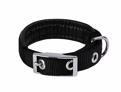 Animalis - Collier Basic Confort pour Chien Noir