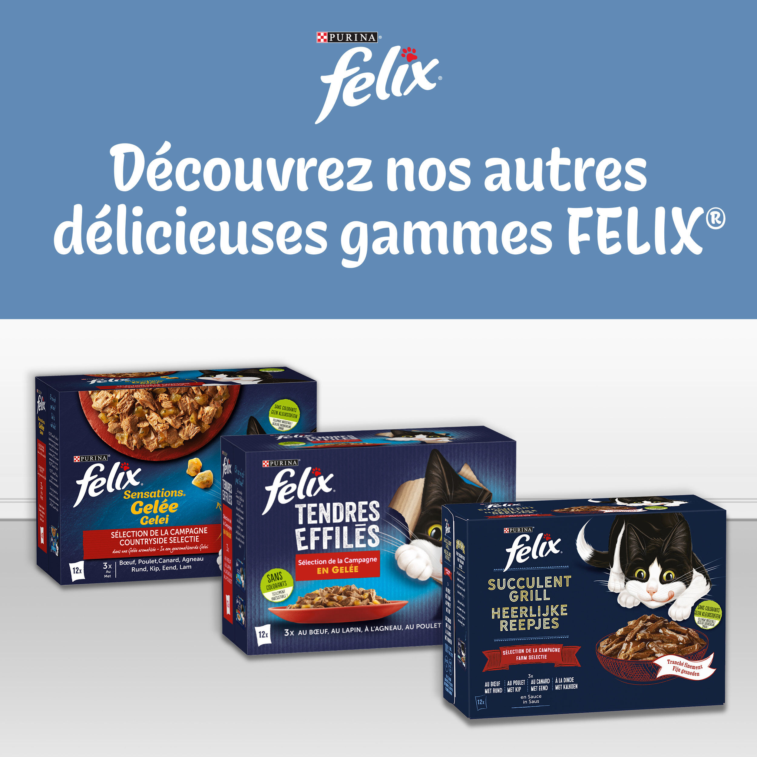FELIX - Sachets Fra&icirc;cheur Eminc&eacute;s en Gel&eacute;e Selection Mixte pour chats adultes - 12x85g Image num&eacute;ro 3
