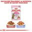 Royal Canin - Croquettes Kitten Sterilised pour Chaton - 2Kg Indicateur image numéro 6