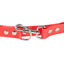 Gotoo - Laisse Premium Biotane pour Chien - Rouge Indicateur image numéro 2