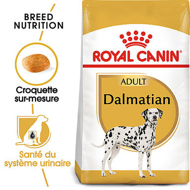 Royal Canin - Croquettes DALMATIAN ADULT pour Chiens - 12KG