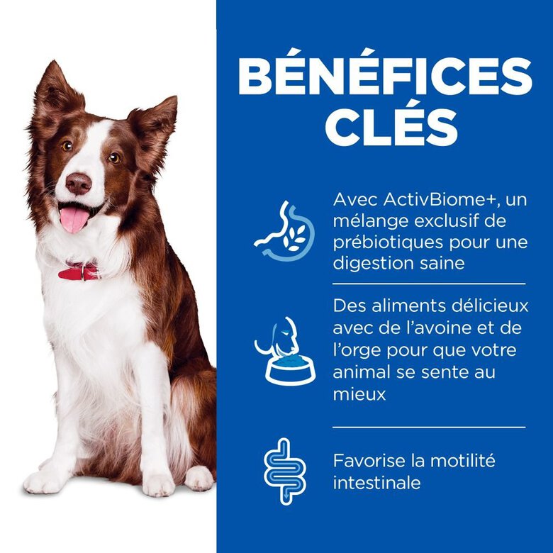 Hill's Science Plan Perfect Digestion boite pour chien - 363g Image numéro 3 Hill's Science Plan Perfect Digestion boite pour chien - 363g Image numéro 3