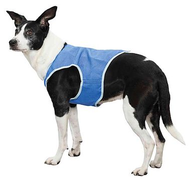 Trixie - Veste Rafraîchissante XL pour Chien - 40 cm