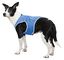 Trixie - Veste Rafraîchissante XL pour Chien - 40 cm Indicateur image numéro 1