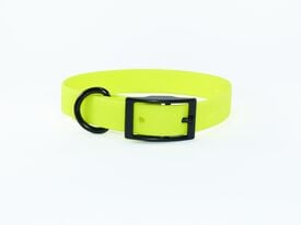 eKys - Collier Biothane pour Chien Jaune