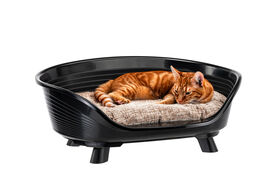 Ferplast - Corbeille Plastique Throne 6 pour Chiens - Noir