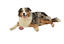 Bobby - Jouet Balle Caoutchouc Cache Friandises Rose pour Chiens Indicateur image numéro 3
