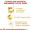 Royal Canin - Croquettes Teckel pour Chien Adulte - 1,5Kg Indicateur image numéro 3