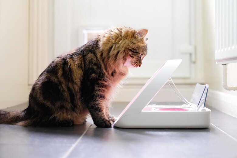 Sure PetCare - Distributeur SureFeed à puce Électronique pour Chat Image numéro 7 Sure PetCare - Distributeur SureFeed à puce Électronique pour Chat Image numéro 7