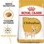Royal Canin - Croquettes Chihuahua pour Chien Adulte - 3Kg Indicateur image numéro 3