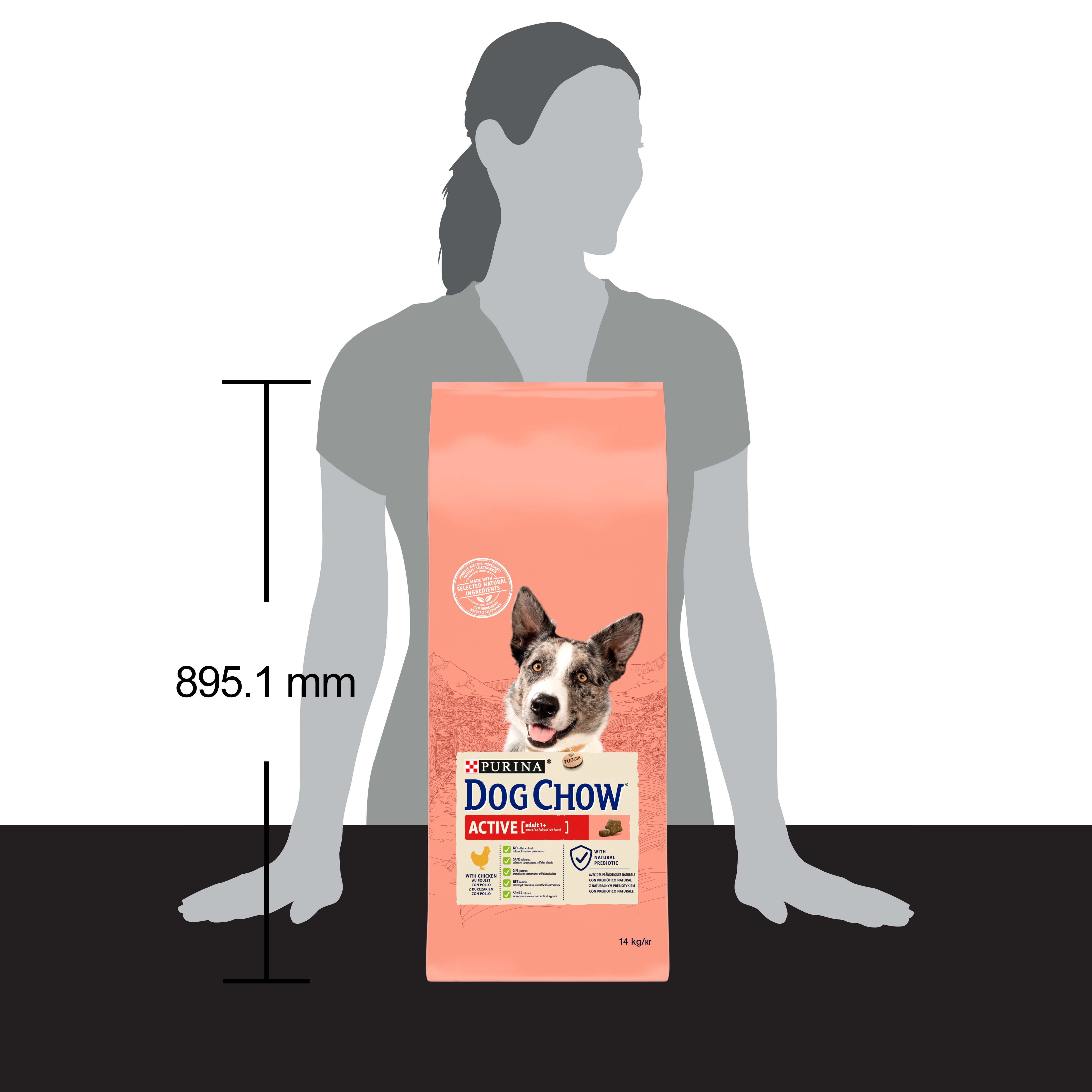 Dog Chow - Croquettes Active au Poulet pour Chien - 14Kg Image num&eacute;ro 6