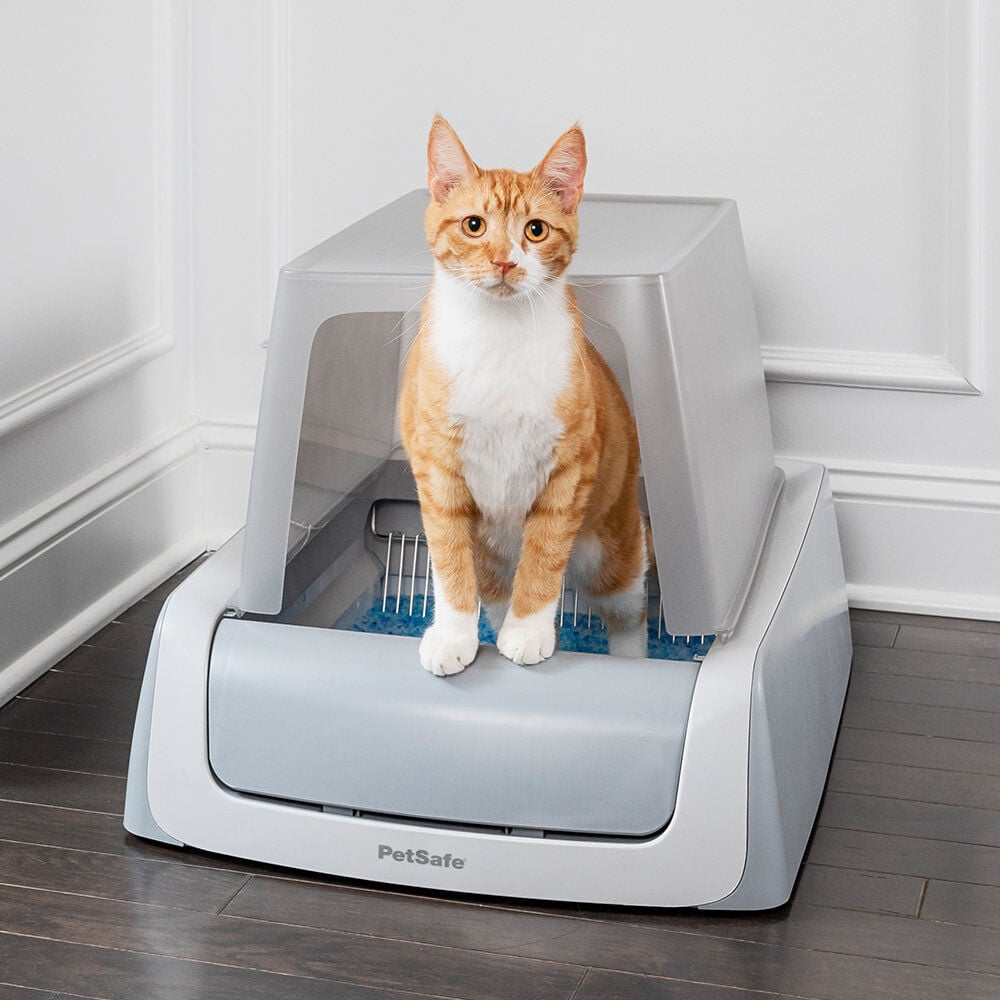 PetSafe - Liti&egrave;re Auto Scoopfree 1,5 + Couvercle pour Chats Image num&eacute;ro 7
