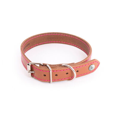 Martin Sellier - Collier Flash Cognac/Rose pour Chiens