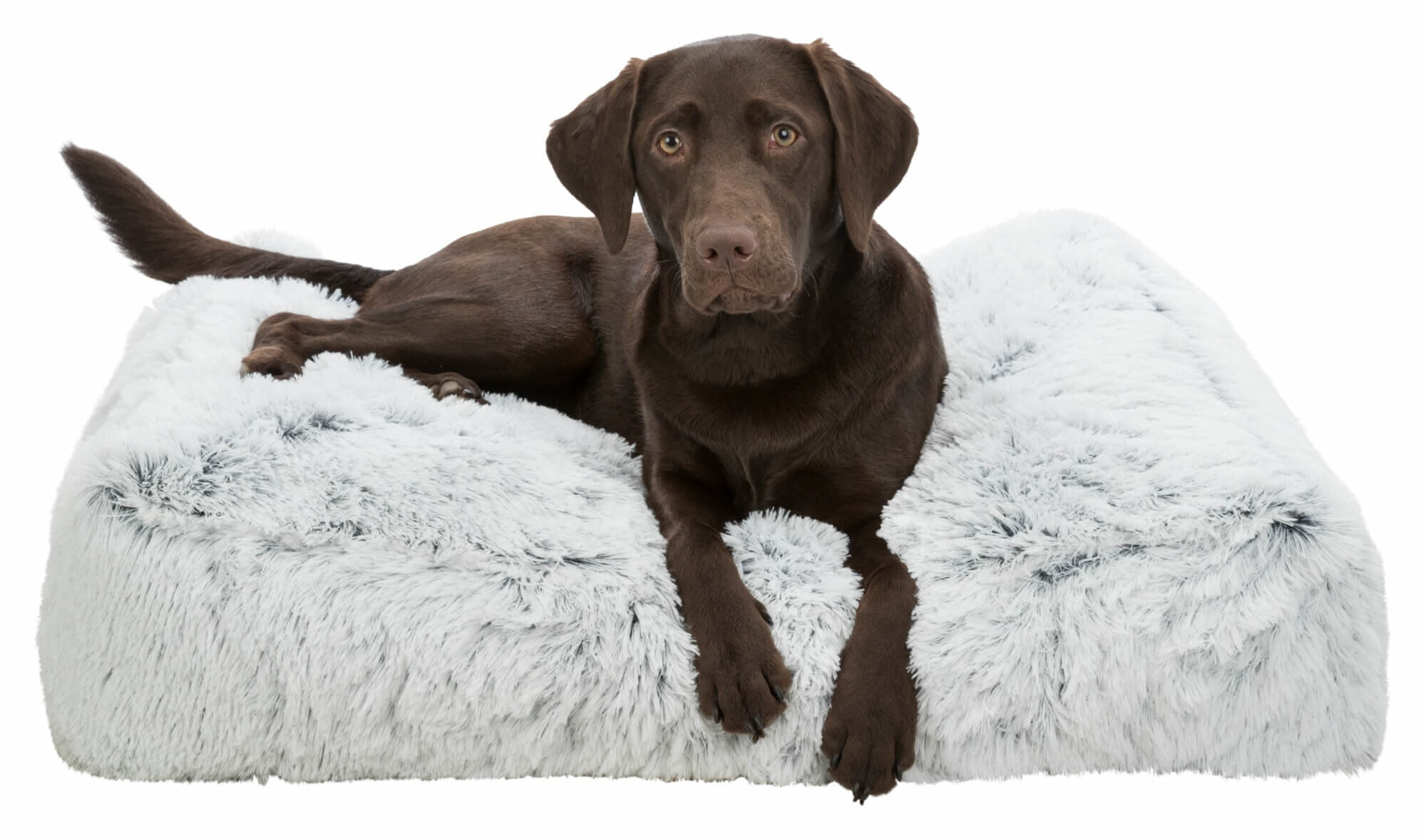 Trixie - Coussin Harvey Blanc pour Chien - T100 Image num&eacute;ro 2