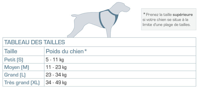 Kurgo - Harnais de Sécurité "Impact" Noir pour Chiens - L Image numéro 5 Kurgo - Harnais de Sécurité "Impact" Noir pour Chiens - L Image numéro 5