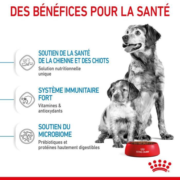 Royal Canin - Croquettes Medium Starter Mother & Babydog pour chiot - 15Kg Image num&eacute;ro 2