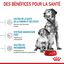 Royal Canin - Croquettes Medium Starter Mother & Babydog pour chiot - 15Kg Indicateur image numéro 2