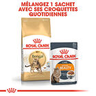 Royal Canin - Croquettes Bengal pour Chat Adulte - 2Kg image number null