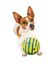 Best of TV - Balle Sonore Wobble Wag Giggle pour Chiens Indicateur image numéro 3