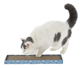 Leeby - Griffoir Everyday Plat en Carton pour Chats - 46x12cm