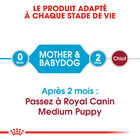 Royal Canin - Croquettes Starter Mother & Babydog Medium pour Chiennes et Chiots - 4KG image number null