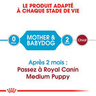 Royal Canin - Croquettes Starter Mother & Babydog Medium pour Chiennes et Chiots - 4KG image number null