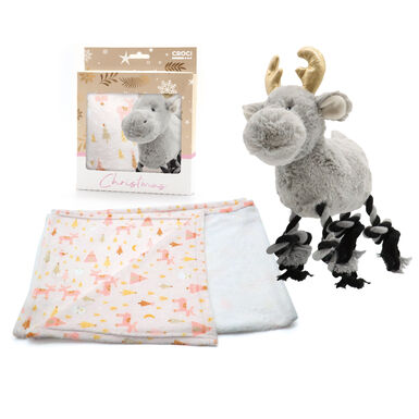 Croci - Coffret Cadeau Chien Xmas - x2 pcs
