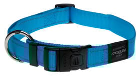 Rogz - Collier Utility Turquoise pour Chiens