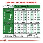 Royal Canin - Croquettes Mini Ageing 12+ pour Chien Senior - 3,5Kg image number null