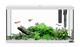 Aquatlantis - Aquarium Explorer Paris 60 - Gris Equipé
